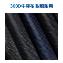 得力63753手提拉鏈袋(藍(lán)色)(個(gè))