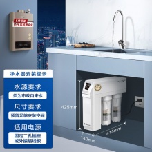 史密斯（A.O.SMITH）家用凈水器1200M 1.2升/分鐘 標(biāo)配專(zhuān)利智能濾芯更換提示龍頭 低廢水即濾反滲透凈水機(jī)