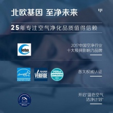 布魯雅爾(Blueair)空氣凈化器 除醛小金剛303+ 京品家電 除甲醛除二手煙異味 除菌霧霾PM2.5