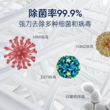 布魯雅爾Blueair 空氣凈化器303+ 家用辦公 室內(nèi)輕音 去甲醛 除菌 霧霾 異味 二手煙 經(jīng)典303+優(yōu)選24-42平米