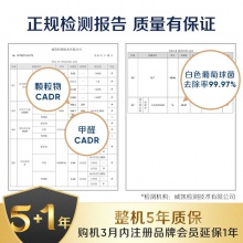 布魯雅爾Blueair 空氣凈化器303+ 家用辦公 室內(nèi)輕音 去甲醛 除菌 霧霾 異味 二手煙 經(jīng)典303+優(yōu)選24-42平米