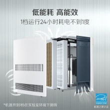 布魯雅爾(Blueair)空氣凈化器 303 高效去除甲醛二手煙異味細菌霧霾PM2.5除花粉 臥室嬰兒房