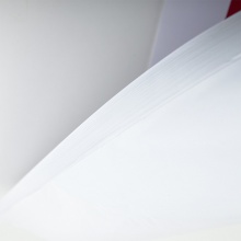 得力8729白板掛紙810×580mm(25張/卷)(白色)