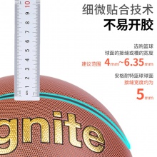 安格耐特F1120籃球(棕)