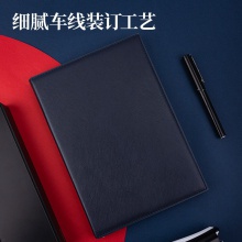 得力3326高級記事本-160張-16K-250mm×175mm(藍(lán)）