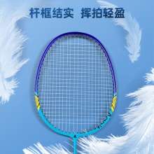 安格耐特F2102羽毛球拍(藍(lán)色)(2個(gè)/副)