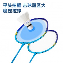 安格耐特F2102羽毛球拍(藍(lán)色)(2個(gè)/副)