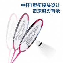 安格耐特F2105羽毛球拍(藍(lán)+紅)(2支/副)