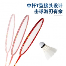 安格耐特F2108羽毛球拍(藍(lán)+紅)(2個(gè)/副)