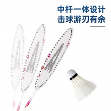 安格耐特F2110羽毛球拍(粉+藍)(2個/副)(含三球)