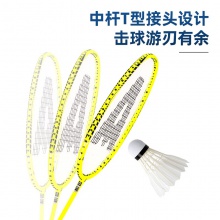 安格耐特F2120羽毛球拍(綠+橙)(2支/副)