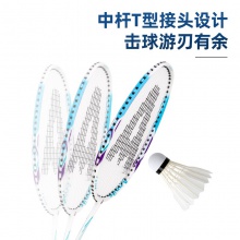 安格耐特F2132碳鋁模壓一體羽毛球拍(紅+藍)(2支/副)(含三球)
