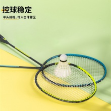 安格耐特F2136鐵合金分體羽毛球拍(藍(lán)+綠)(2支/副)(帶三球)