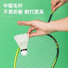 安格耐特F2202S羽毛球(白)(12只/筒)