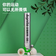 安格耐特F2206羽毛球(白色)(12個(gè)/筒)
