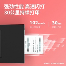 得力DL-999D條碼打印機(黑)