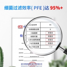 得力19380成人口罩（商超裝10只/包）(藍色)(只)