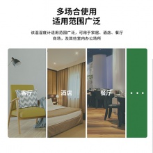 得力8848煤油溫濕度計(jì)(白)(把)