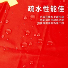 得力4222-2號黨旗(紅色)(面)