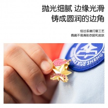 得力50560少先隊徽(金色)(6枚/袋)