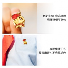 得力50561少先隊(duì)徽(金色)(6枚/袋)