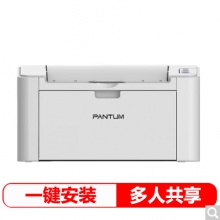 奔圖（PANTUM） P2505N黑白激光打印機(jī)（A4打印 USB打?。?