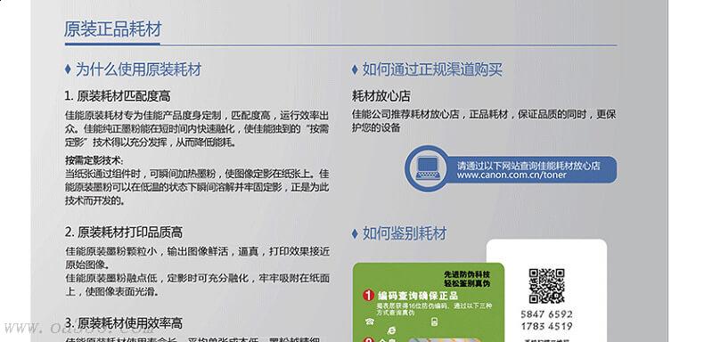C.jpg
